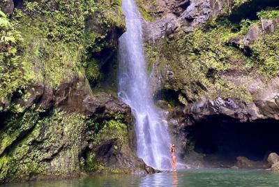 Aventura épica en cascada: lo mejor de Maui Aventura épica en cascada: lo mejor de Maui