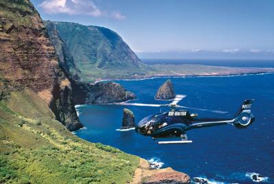 Excursión en helicóptero de 45 minutos en el oeste de Maui y Molokai Excursión en helicóptero de 45 minutos en el oeste de Maui y Molokai