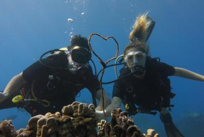 Buceo privado para 2 en Lahaina Buceo privado para 2 en Lahaina
