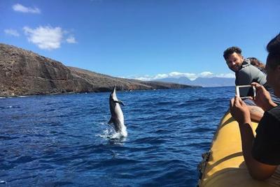 Tour extendido de delfines de snorkel en Lanai de 6 horas desde el puerto de Lahaina Tour extendido de delfines de snorkel en Lanai de 6 horas desde el puerto de Lahaina