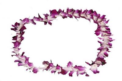 Aloha Lei saludo a su llegada a Maui Aloha Lei saludo a su llegada a Maui