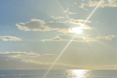 Sesión de energía curativa de Quantum Reiki