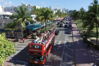 Excursión de medio día por la ciudad de Miami en autobús con crucero turístico