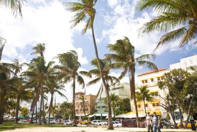 Tour por la ciudad de Miami y crucero por la bahía de Biscayne Tour por la ciudad de Miami y crucero por la bahía de Biscayne