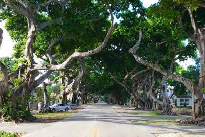 Maravillas de Miami City Tour + Tour en barco por la rica y famosa bahía de Biscayne