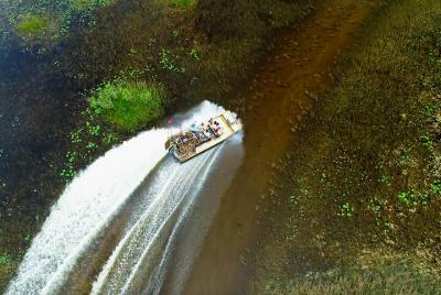 Recorrido por los Everglades con un guía turístico experimentado desde Miami
