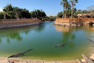 Croco parc agadir