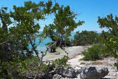 Transporte de viaje de un día de Miami a Key West Transporte de viaje de un día de Miami a Key West