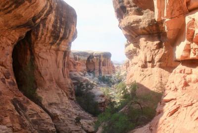 Recorrido por los cañones de Red Rock Recorrido por los cañones de Red Rock
