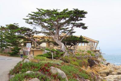 Carmel Point: descubra su costa escarpada en un audio recorrido a pie Carmel Point: descubra su costa escarpada en un audio recorrido a pie