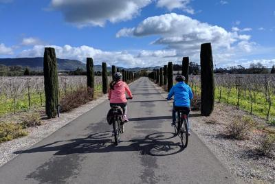 Sonoma Valley Full Day Pedal Assist Bike Tour con almuerzo - (Reg. Bike Opcional)
