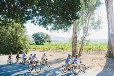 Bodega Napa Valley + Picnic Tour