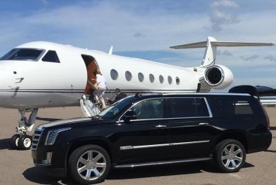 Tour privado de vino de 8 horas en SUV por Napa o Sonoma