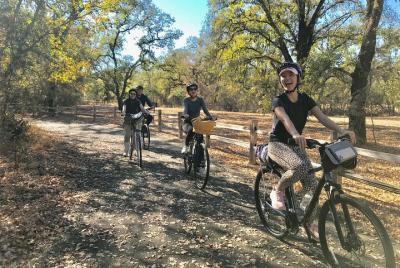 Tour de la cerveza Windsor 'N Brew