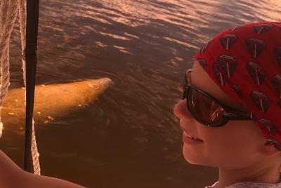 Observación de delfines, manatíes y vida silvestre de 3 horas en Nápoles Observación de delfines, manatíes y vida silvestre de 3 horas en Nápoles