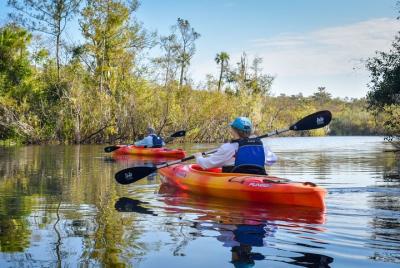 Tour guiado en kayak por los Everglades Tour guiado en kayak por los Everglades