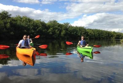 KAYAKS INDIVIDUALES | Tour en grupo pequeño por el laberinto de manglares en Marco Island y Nápoles KAYAKS INDIVIDUALES | Tour en grupo pequeño por el laberinto de manglares en Marco Island y Nápoles