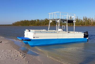 Tour privado de medio día en charter en Naples, Florida Tour privado de medio día en charter en Naples, Florida