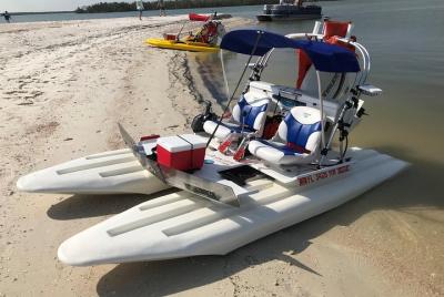 Paseos en barco por las diez mil islas / Everglades, manatí, bombardeo, delfines Paseos en barco por las diez mil islas / Everglades, manatí, bombardeo, delfines