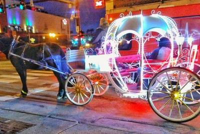 Paseos históricos narrados en carruajes y caballos en Nashville (20 minutos) Paseos históricos narrados en carruajes y caballos en Nashville (20 minutos)