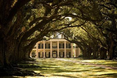 Tour de Oak Alley Plantation y Large Airboat Swamp desde Nueva Orleans
