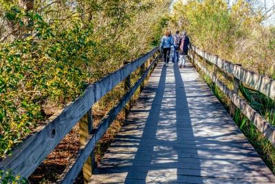 Tour privado de la plantación y el pantano de Nueva Orleans
