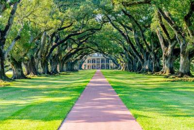 Excursión privada a la plantación de River Road