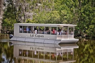 Visita turística a pantano y Bayou con paseo en barco desde Nueva Orleans
