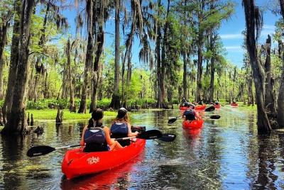 Tour en kayak por el pantano de Manchac para grupos pequeños