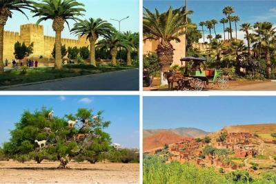 Ve a descubrir Taroudant y Tiout Day Trip desde agadir