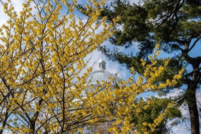 Pase para el jardín botánico de Nueva York