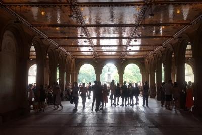 Recorrido a pie por los secretos de Central Park South