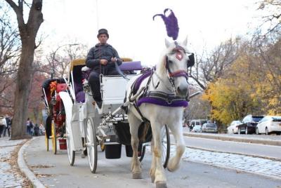 Paseo en carruaje por el bucle pequeño del Central Park de Nueva York