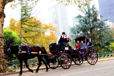 Paseo en carruaje de caballos de Central Park (bucle corto)