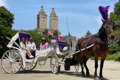 Paseo en carruaje y caballo por el Central Park de Nueva York: viaje largo de 45 minutos