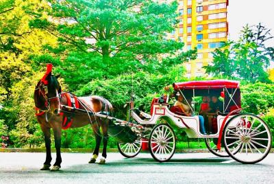Paseo en carruaje de caballos exprés por Central Park con parada para tomar fotografías (45 min)