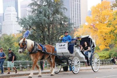 Relajante paseo privado en carruaje de caballos en Central Park