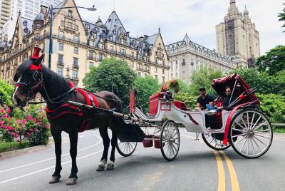  Paseo en carruaje de caballos por Central Park, tour VIP con paradas para tomar fotos (55min)