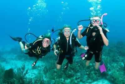 Excursión de buceo y esnórquel en la isla de Tiran en barco - Sha