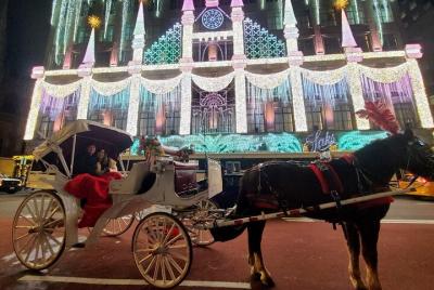 Paseo privado en carruaje de caballos con luces navideñas de Nueva York