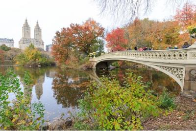 Tour privado en bicitaxi por Central Park (60 minutos)