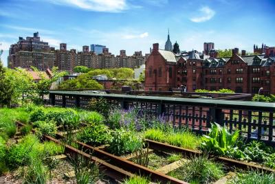 Recorrido a pie para grupos pequeños por el mercado de Chelsea, el distrito de carnicerías industriales y el High Line en Nueva York