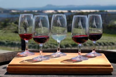 Tour por la ruta del vino del Niágara