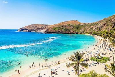Excursión por la Costa Norte y la bahía de Hanauma Excursión por la Costa Norte y la bahía de Hanauma