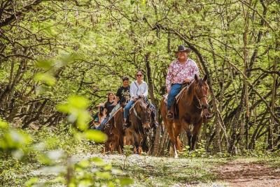 Paseo a caballo escénico de 1 hora Paseo a caballo escénico de 1 hora