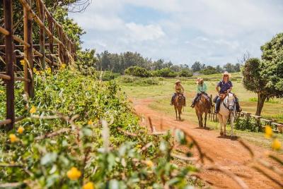 Paseo a caballo como un auténtico paniolo en Kahuku Paseo a caballo como un auténtico paniolo en Kahuku