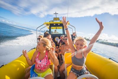 Tour guiado en barco de vida marina de 1,5 horas en Oahu Tour guiado en barco de vida marina de 1,5 horas en Oahu