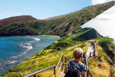 Paquete turístico de medio día de Oahu Paquete turístico de medio día de Oahu