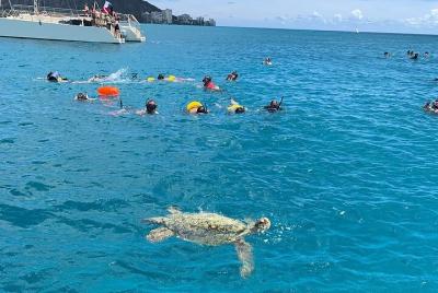 Aventura de snorkel con tortugas (paseo en barco) Aventura de snorkel con tortugas (paseo en barco)