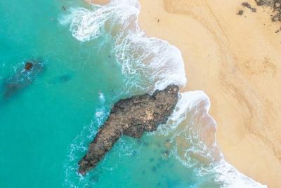 Tour por la playa de North Shore Tour por la playa de North Shore